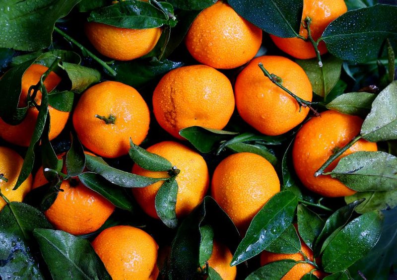 Laranjas com folhas
