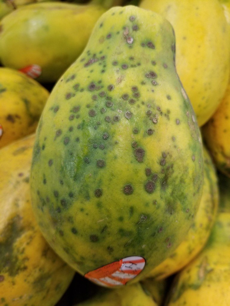 Mamão com manchas pretas na casca