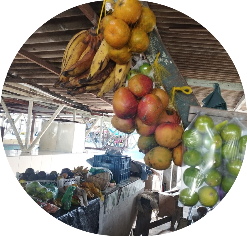 Fotos das frutas no pé