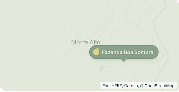 mapa da Fazenda Boa Sombra em Monte Alto